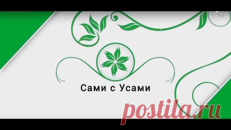 Йошта | Сами с усами Каждый выпуск посвящен одной дачной проблеме и ее решению, программу сопровождают короткие сюжеты с полезными советами и рекомендациями садоводами и огородни...