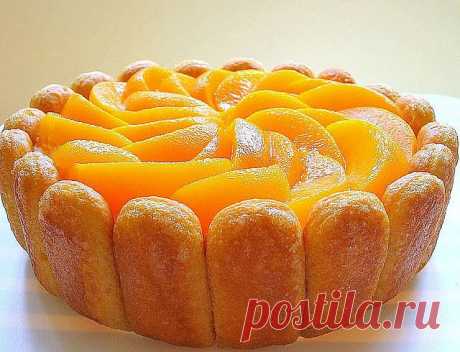 Шарлотка - 10 вариантов приготовления.