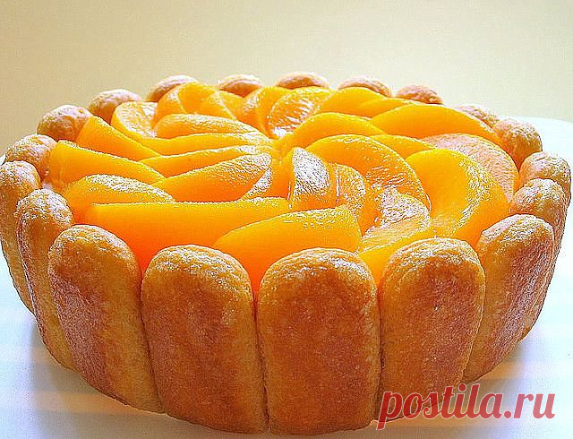 Шарлотка - 10 вариантов приготовления.