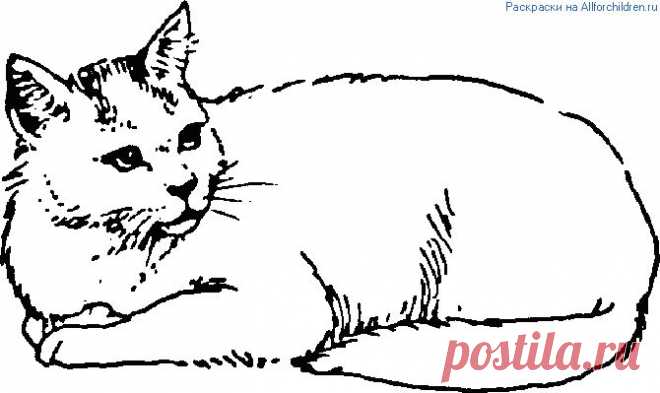 Распечатать раскраску на принтере. Раскраски для детей :: Все для детей. Детские ресурсы