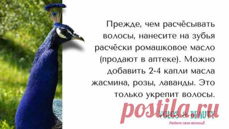 Волосы💁beauty. Стрижки. Окрашивание. Буст Ап. | ВКонтакте