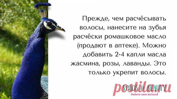 Волосы💁beauty. Стрижки. Окрашивание. Буст Ап. | ВКонтакте
