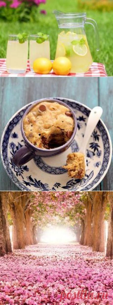 Оливковое масло и лимон и наша печень как новая | Golbis