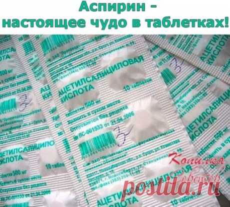 (6) Одноклассники