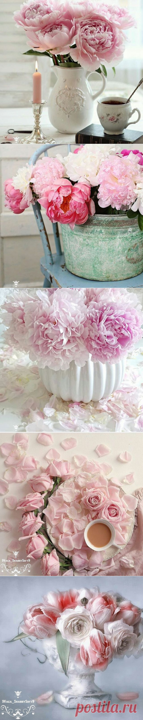 Pakira (@pakiradekor) • Фото и видео в Instagram