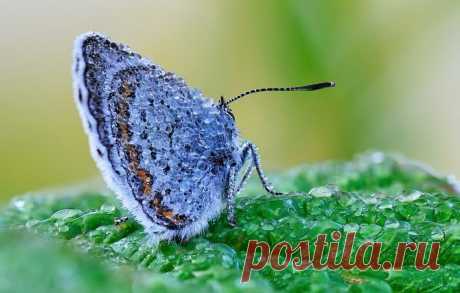 Интересные новости