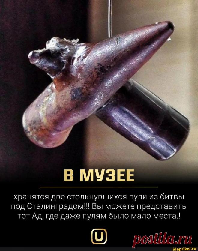 Хранятся две столкнувшихся пули из битвы под Сталинградом!! Вы можете представить тот Ад, где даже пулям было мало места.! (9) - ) / АйДаПрикол .)