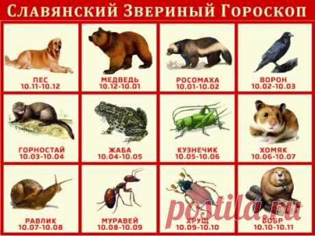 А кто ты по славянскому гороскопу Такого вы ещё не знали о себе.   Выбери дату своего рождения и читай о себе сразу после голосования