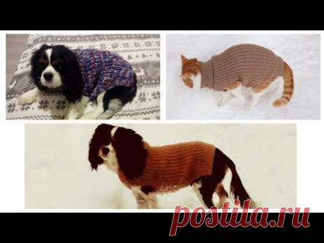 DIY//ОДЕЖДА ДЛЯ СОБАК НА ЛЮБОЙ РАЗМЕР//ЛЕГКО//ИЗ ДВУХ ПРЯМОУГОЛЬНИКОВ