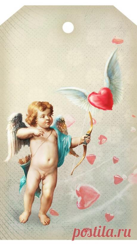 KoBZg_5WSdA.jpg (576×1024)