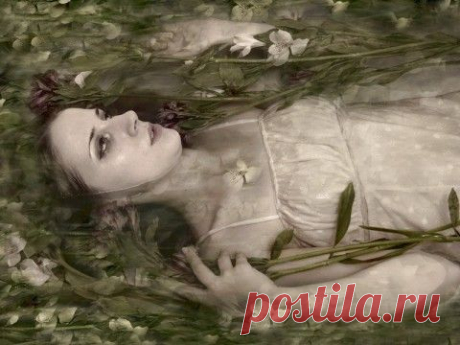 НЕЖИТЬ — сказка от Эльфики. Очень поучительна!!!