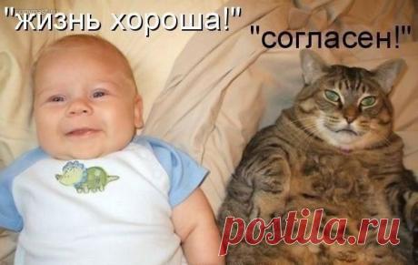 и
