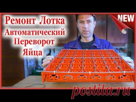 Лоток автоматического переворота яиц в инкубаторе. Автоматический переворот яйца.