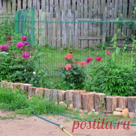 Дрожжевая подкормка для овощей / 7dach.ru