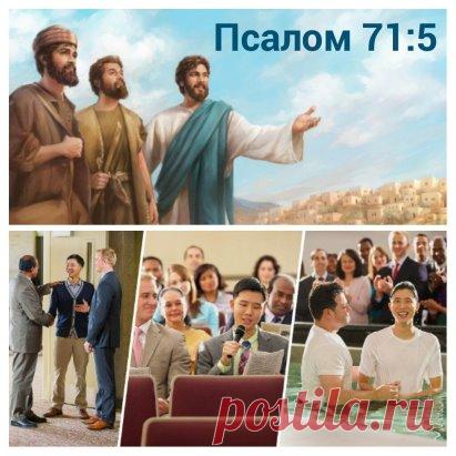 Среда, 6 сентября
Ты моя #надежда, о #Владыка #Господь #Иегова, мое упование с юности (Пс. 71:5).
Опытные старейшины считают, что важно #обучать братьев с самой ранней юности и поручать им посильные задания. Начав обучение раньше, вы поможете юным не упускать из виду #духовные_цели даже тогда, когда, повзрослев, они столкнутся со множеством отвлечений (Пс. 71:17). Чтобы ученик охотно служил Богу, важно объяснять ему не только что он должен делать, но и почему это важно. Так старейшины будут под