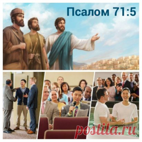 Среда, 6 сентября
Ты моя #надежда, о #Владыка #Господь #Иегова, мое упование с юности (Пс. 71:5).
Опытные старейшины считают, что важно #обучать братьев с самой ранней юности и поручать им посильные задания. Начав обучение раньше, вы поможете юным не упускать из виду #духовные_цели даже тогда, когда, повзрослев, они столкнутся со множеством отвлечений (Пс. 71:17). Чтобы ученик охотно служил Богу, важно объяснять ему не только что он должен делать, но и почему это важно. Так старейшины будут под