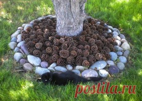 Огородко — садовод и огородник