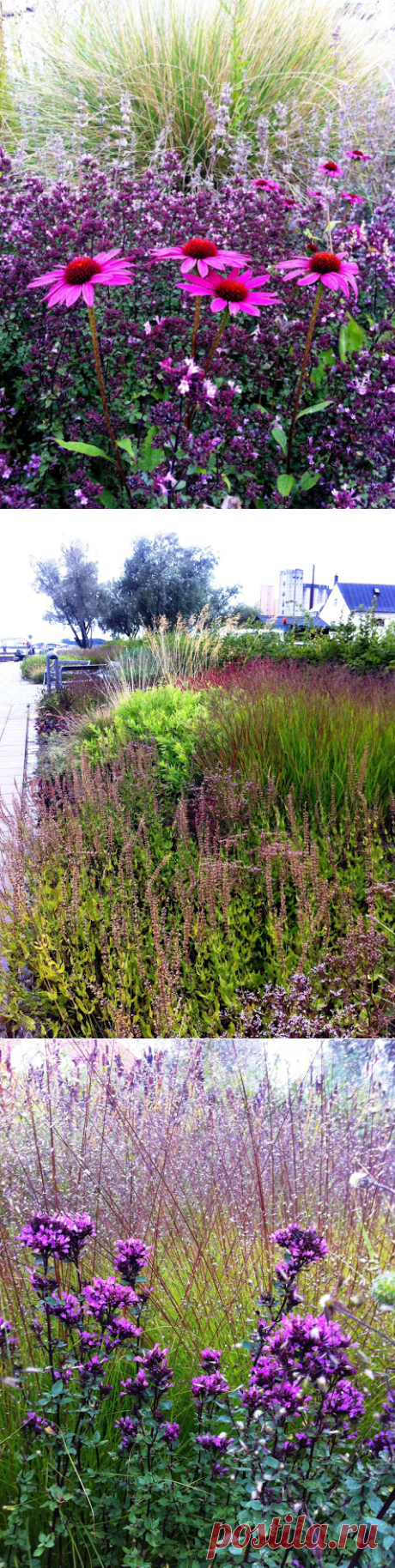 Skogstorpet Trädgårdsdesign [Gardendesign - Landscaping]: Inspiration