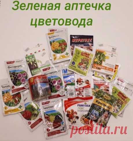 Зеленая аптечка цветовода ! Самые необходимые средства для садоводов. 
 
1. Актара и Конфидор против паутинного клеща, тли, колорадского жука. 
2. Семпай - против гусениц капустной белянки, листовёрток и пилильщиков. 
3. Раёк, Скор - против парши на яблони, рзавчины и мучнистой росы на цветах. 
4. Профит Голд, Ордан, Хом - против фитофтороза. 
5. Превикур, Триходерма - против фузариоза астр, корневых гнилей. 
6.Циркон - препарат улучшающий корнеобразование даже при стрессо...