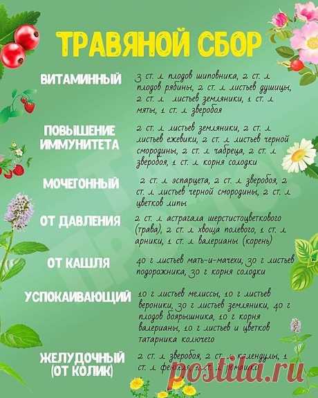 Сохраняйте