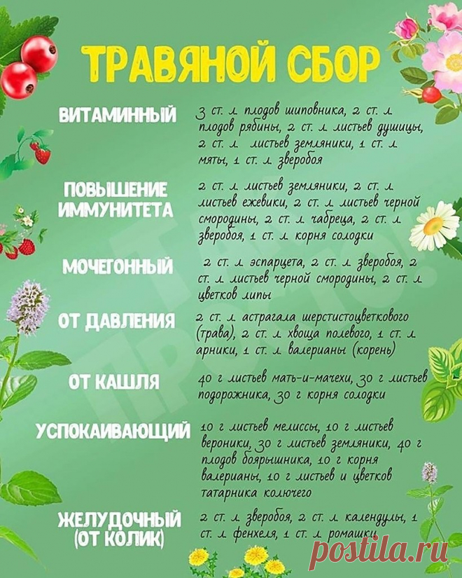 Сохраняйте