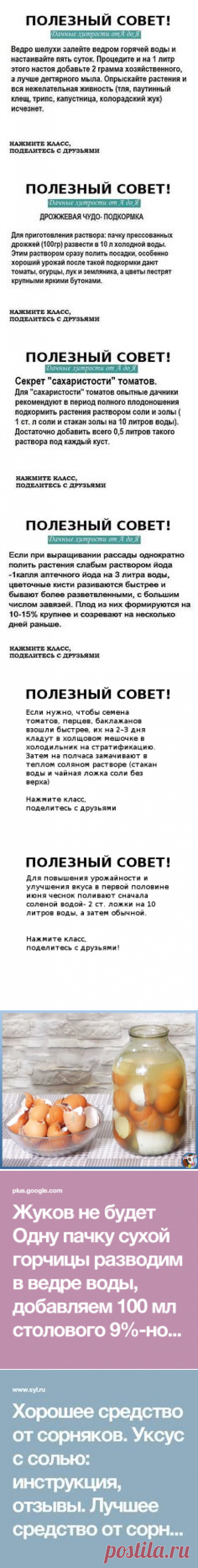 (27) Pinterest