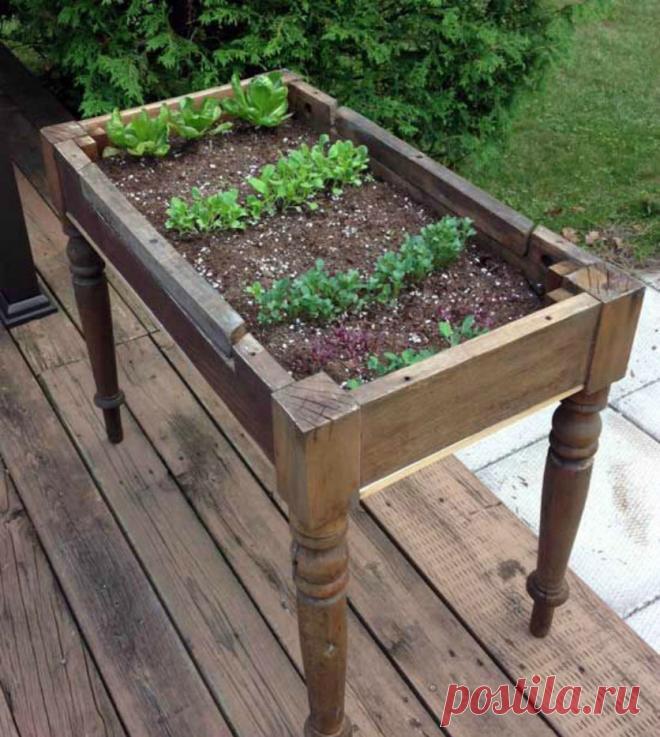 Создаём у себя на участке интересные цветники и клумбы: 16 оригинальных идей Весна уже распахнула свои двери, в воздухе пахнет свежестью и сыростью. Всё! Это означает, что совсем скоро нужно будет заниматься приятным и волнительным делом — рассадой :) Семена, горшочки, новые с…