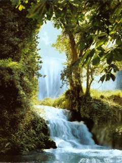 Чудный живой водопад 240Х320 - Обои для телефона бесплатно - Обои для рабочего стола - Своя - широкоформатные обои и картинки