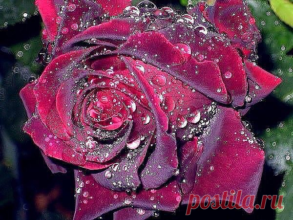 getImage (600×450)