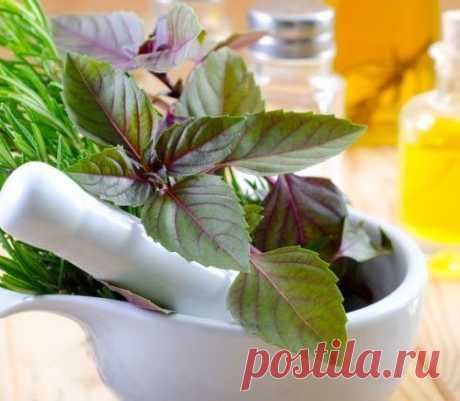 Лечение бородавок народными средствами