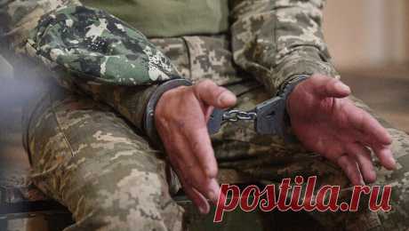 Военные решили отомстить мужчинам, которые избили участника СВО в Тюмени. В Тюмени участники спецоперации решили устроить самосуд на избившими российского военного молодыми людьми. Об этом сообщает Ura.ru, ссылаясь на анонимное заявление одного из местных жителей. По его словам, на днях группа мужчин приехала ...