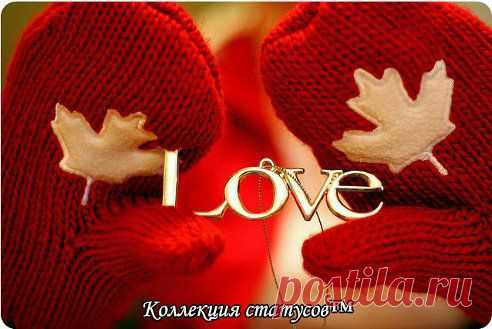 (29) Одноклассники