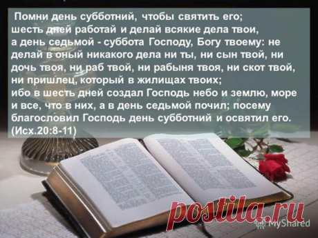 Разговор о тех кто в Бога верит, но в церковь не ходит | Святые места | Дзен