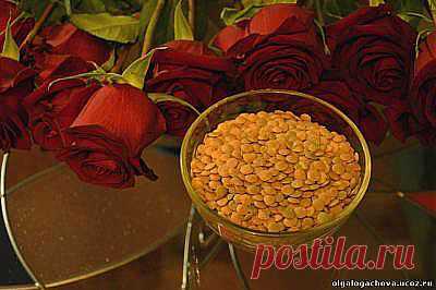 STRELOGOS: стихи и проза - Главная страница Добро пожаловать