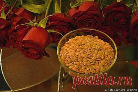 STRELOGOS: стихи и проза - Главная страница Добро пожаловать