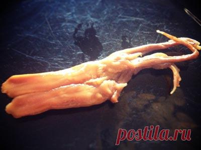 Утиные язычки