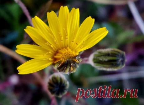 Cristina Rodriguez Fernandez