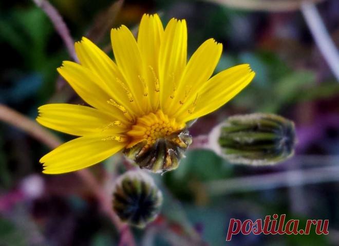 Cristina Rodriguez Fernandez