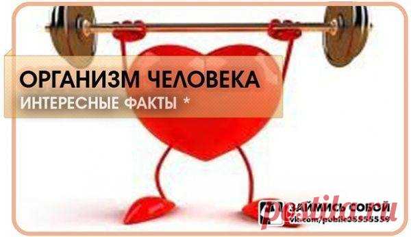 ВАШЕ ЗДОРОВЬЕ В ВАШИХ РУКАХ