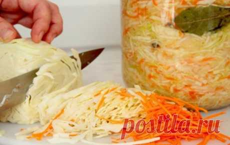 #ЗаготовкиНаЗиму
Как квасить капусту на зиму? 5 лучших рецептов
Засолка капусты в 3-литровых банках.
РЕЦЕПТ 1.
КАПУСТА БЫСТРОГО ПРИГОТОВЛЕНИЯ.
Нашинковать капусту тонкой соломкой или нарезать кусочками. Плотно уложить в 3-х литровую банку. Залить холодной водой, растворив в ней 2 ст.ложки соли (воды 1-1,5 л). Оставить банку в тепле на 2 дня. Затем слить немного рассола и растворить в нём полстакана сахара, влить опять в капусту, оставить на один день, затем убрать в холоди...