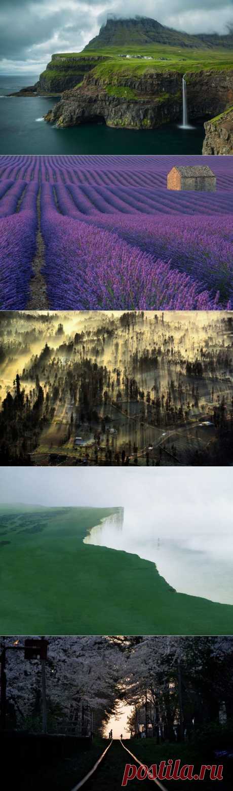 Роскошные фотографии участников конкурса National Geographic 2015 / Туристический спутник