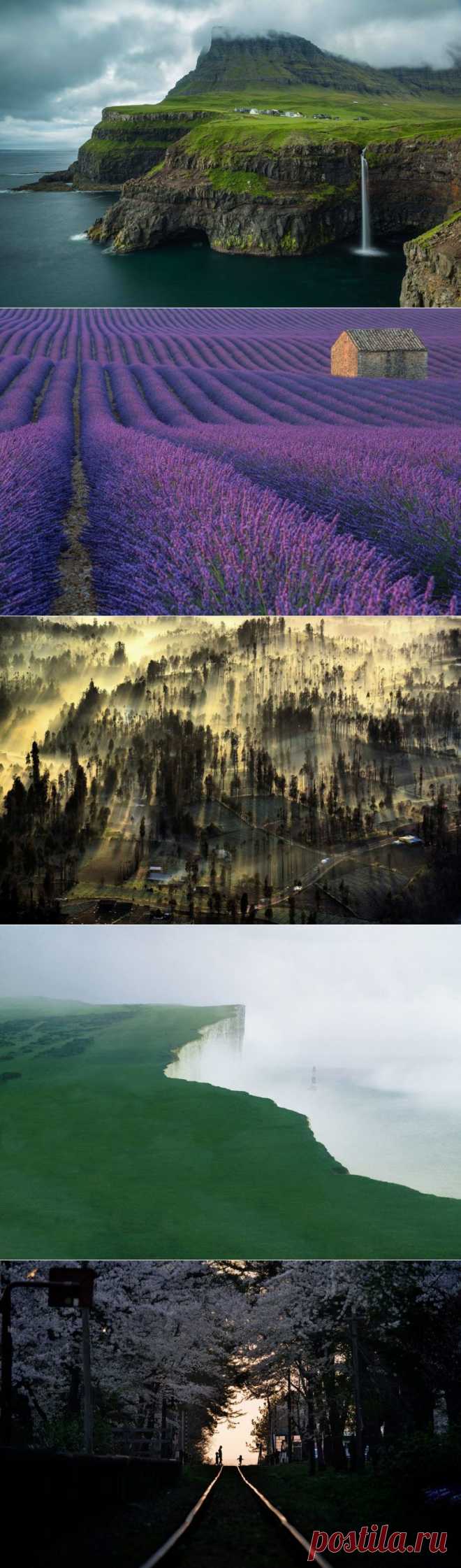 Роскошные фотографии участников конкурса National Geographic 2015 / Туристический спутник