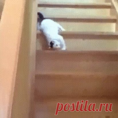 Одноклассники