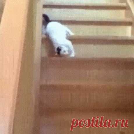 Одноклассники