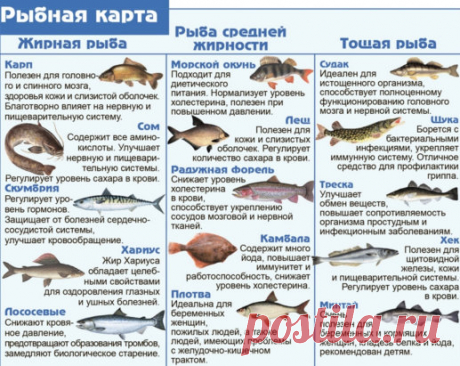 Всё о пользе разных сортов рыбы 🏻
Выбирайте с умом!