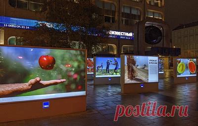 Фотовыставка, посвященная сельскому хозяйству России, открылась перед офисом ТАСС. В нее вошли кадры уборочных кампаний в разных регионах страны а также картины художника из Санкт-Петербурга, которые посвящены сельскому хозяйству. Открытие выставки посетил министр сельского хозяйства и продовольствия Самарской области Николай Абашин. Он отметил важность проекта для региона и поблагодарил организаторов выставки за возможность увидеть лучшие работы. По словам министра, выставка будет доступна дл…