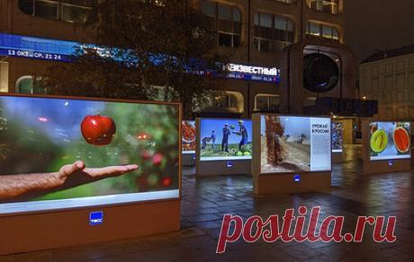 Фотовыставка, посвященная сельскому хозяйству России, открылась перед офисом ТАСС. В нее вошли кадры уборочных кампаний в разных регионах страны а также картины художника из Санкт-Петербурга, которые посвящены сельскому хозяйству. Открытие выставки посетил министр сельского хозяйства и продовольствия Самарской области Николай Абашин. Он отметил важность проекта для региона и поблагодарил организаторов выставки за возможность увидеть лучшие работы. По словам министра, выставка будет доступна дл…