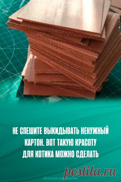 Не спешите выкидывать ненужный картон. Вот такую красоту для котика можно сделать