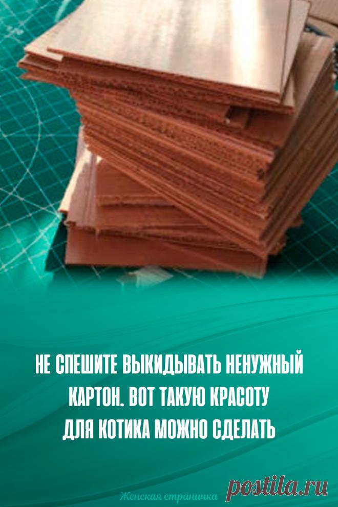 Не спешите выкидывать ненужный картон. Вот такую красоту для котика можно сделать