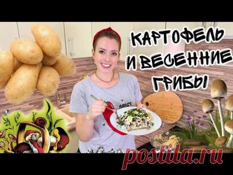 ЗАПЕЧЕННАЯ КАРТОШКА С ГРИБАМИ (Картофель с грибами в духовке) КАК ГОТОВИТЬ СТРОЧКИ И СМОРЧКИ - YouTube